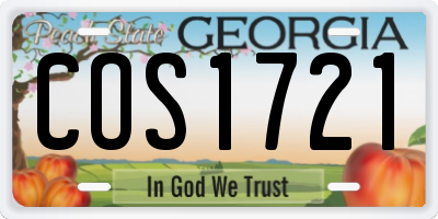 GA license plate COS1721