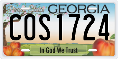 GA license plate COS1724