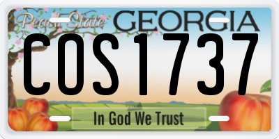 GA license plate COS1737