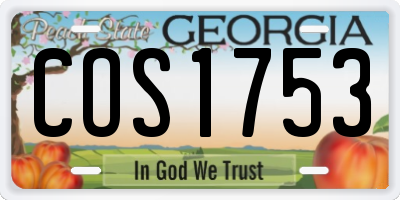 GA license plate COS1753