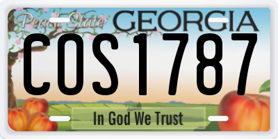 GA license plate COS1787