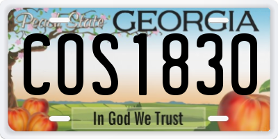 GA license plate COS1830