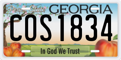 GA license plate COS1834