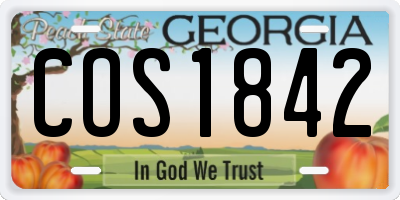 GA license plate COS1842