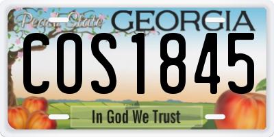 GA license plate COS1845