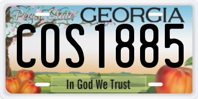 GA license plate COS1885