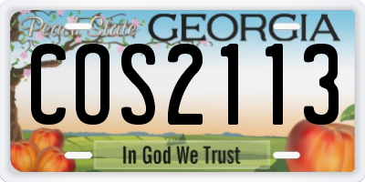 GA license plate COS2113