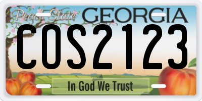 GA license plate COS2123