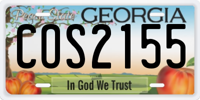 GA license plate COS2155
