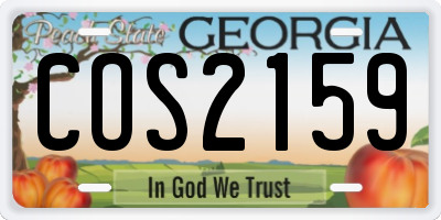 GA license plate COS2159