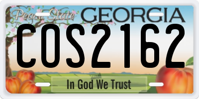 GA license plate COS2162