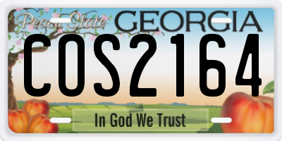 GA license plate COS2164