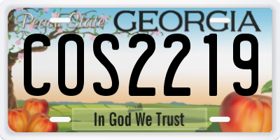 GA license plate COS2219