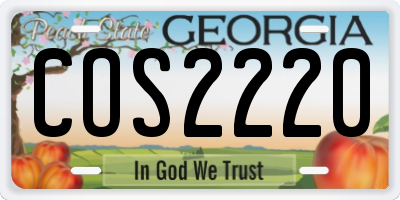 GA license plate COS2220
