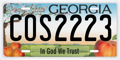 GA license plate COS2223