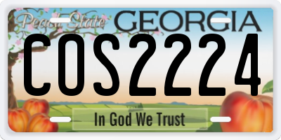 GA license plate COS2224