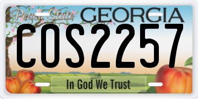 GA license plate COS2257