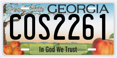 GA license plate COS2261