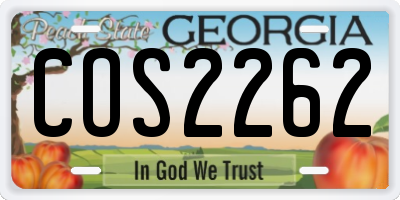 GA license plate COS2262