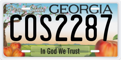 GA license plate COS2287