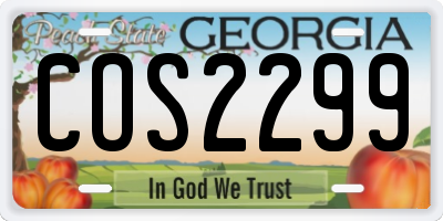 GA license plate COS2299