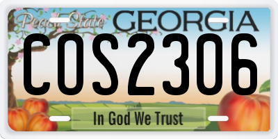 GA license plate COS2306