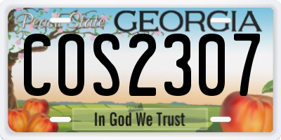 GA license plate COS2307