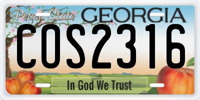 GA license plate COS2316