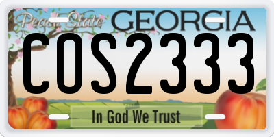 GA license plate COS2333