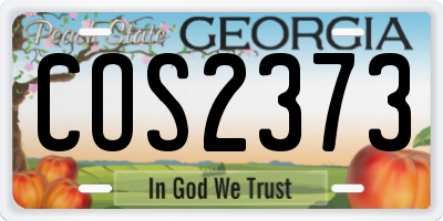 GA license plate COS2373