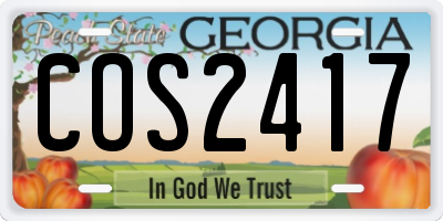GA license plate COS2417
