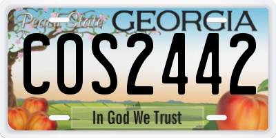 GA license plate COS2442