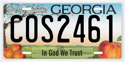 GA license plate COS2461