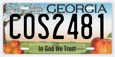 GA license plate COS2481