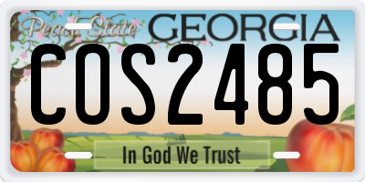 GA license plate COS2485