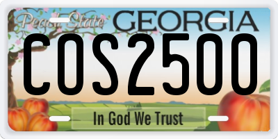 GA license plate COS2500