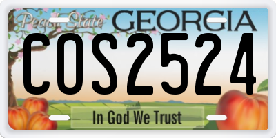 GA license plate COS2524