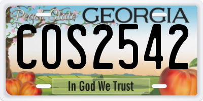 GA license plate COS2542
