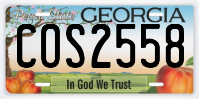 GA license plate COS2558