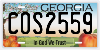 GA license plate COS2559