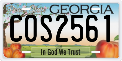 GA license plate COS2561