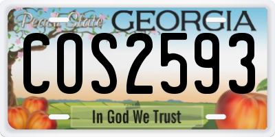 GA license plate COS2593