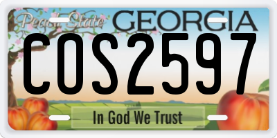 GA license plate COS2597