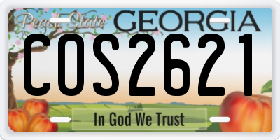 GA license plate COS2621