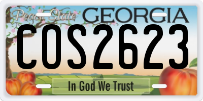 GA license plate COS2623