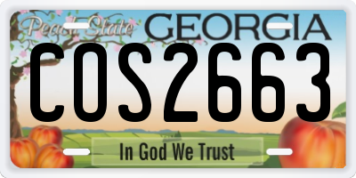 GA license plate COS2663