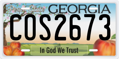 GA license plate COS2673