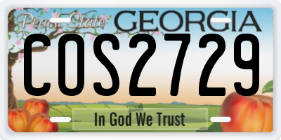 GA license plate COS2729
