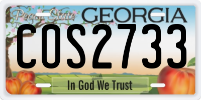 GA license plate COS2733