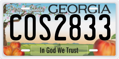 GA license plate COS2833